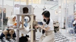 Mal Ciputra Jakarta hadirkan event Back to School “HARU VILLAGE” Ciptakan petualangan seru dengan mengikuti Summer Fun
