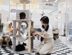 Mal Ciputra Jakarta hadirkan event Back to School “HARU VILLAGE” Ciptakan petualangan seru dengan mengikuti Summer Fun